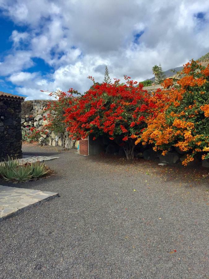 Llanos Negros Farm stay *